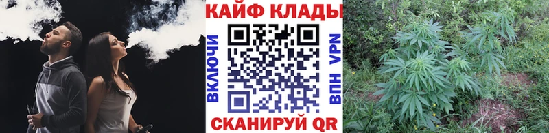 Где купить наркотики Осинники ГАШИШ  АМФ  Галлюциногенные грибы  КОКАИН  Мефедрон 