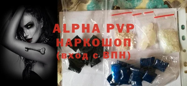 сатива Дмитриев
