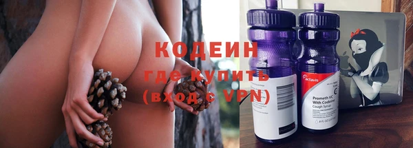 сатива Дмитриев