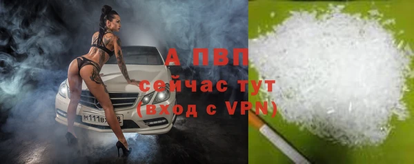 сатива Дмитриев