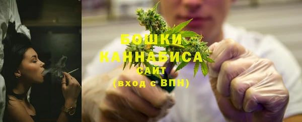 сатива Дмитриев