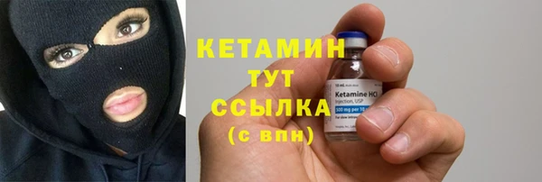 сатива Дмитриев