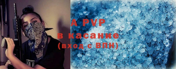 сатива Дмитриев