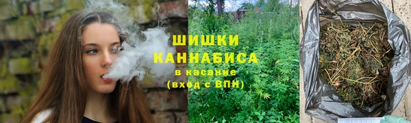 сатива Дмитриев