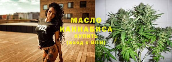 сатива Дмитриев