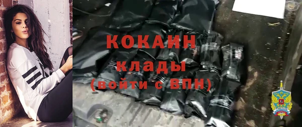 сатива Дмитриев