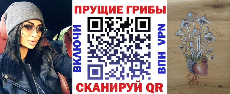 Галлюциногенные грибы Psilocybe  где можно купить наркотик  Осинники 
